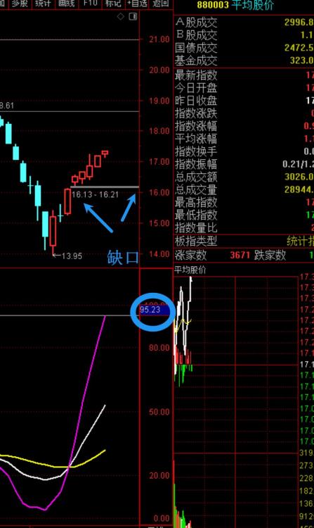 2024年2月23日海龟社区实盘直播  第12张