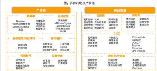 这家公司已是司美格鲁肽中间体供应商  第2张