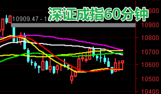 12月24日A股疑似牛市实盘直播  第8张