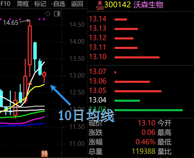 2026年1月29日A股周线月线双级别调整实盘直播  第14张
